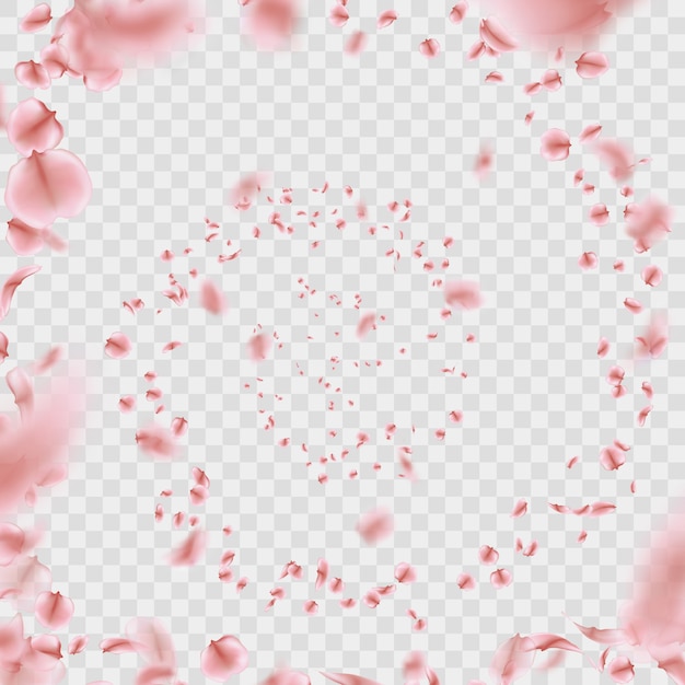 Sakura petals vortex on transparent background. | Premium Vector
