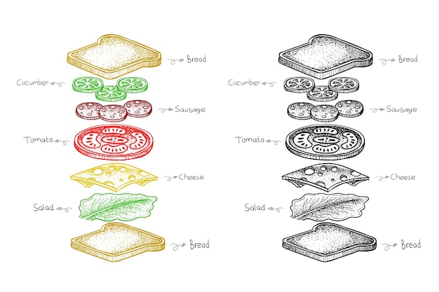 サンドイッチ成分 手描きイラストの食べ物イラスト プレミアムベクター