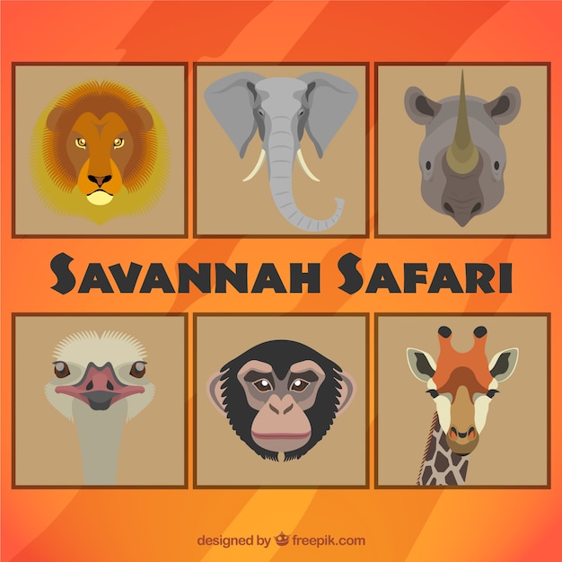 Savannah safari animals