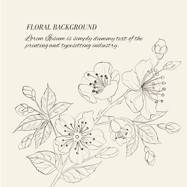 Scatch of spring sakura Free Vector Scatch of spring sakura Free Vector