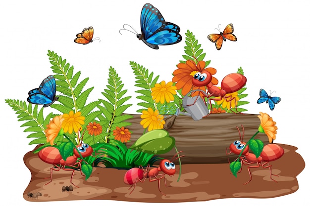 Free Vector | Scene with many bugs in the garden