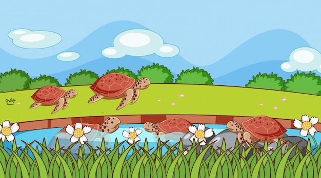 Free Vector | Scene with turtles in the pond