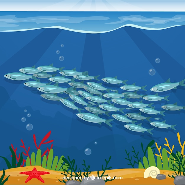School of fishes background with deep sea in
flat style