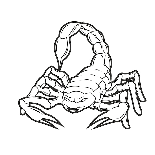 Premium Vector | Scorpion hand drawing vintage style