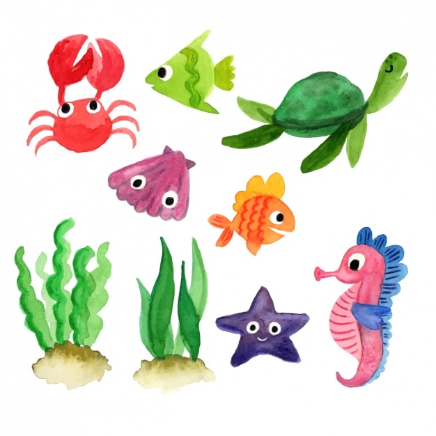 Sea animals collection Vector | Free Download