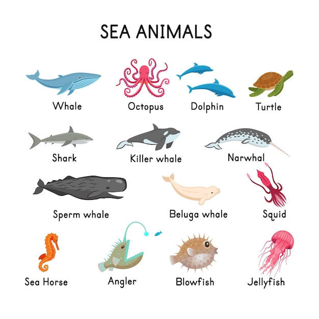 Seaanimalsクジラシールキラークジラマッコウクジライッカクベルーガタコサメイルカカメタツノオトシゴクラゲ釣り人イカフグ白い背景フラット漫画イラスト プレミアムベクター