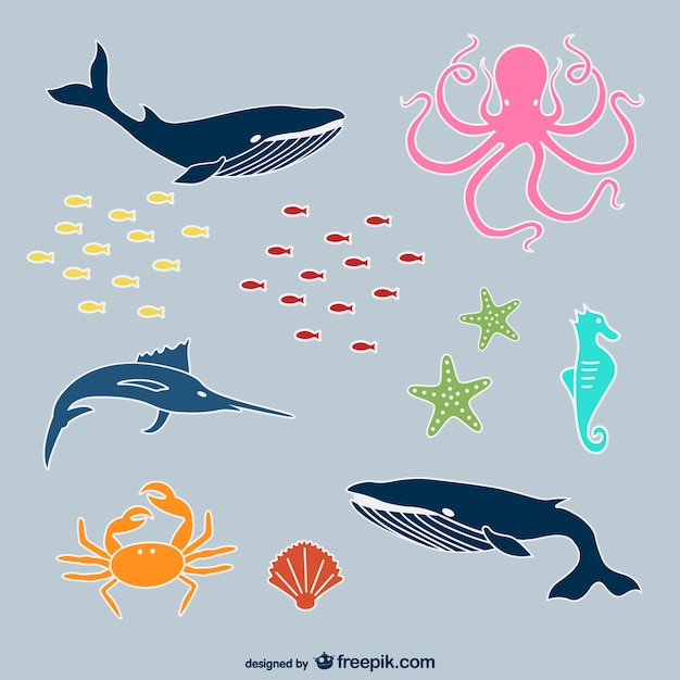 Download Free Vector | Sea animals