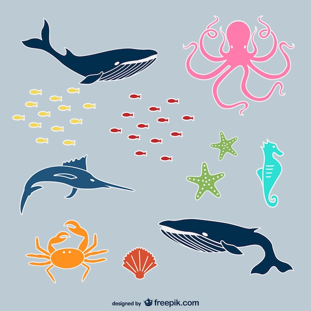 Free Vector | Sea animals