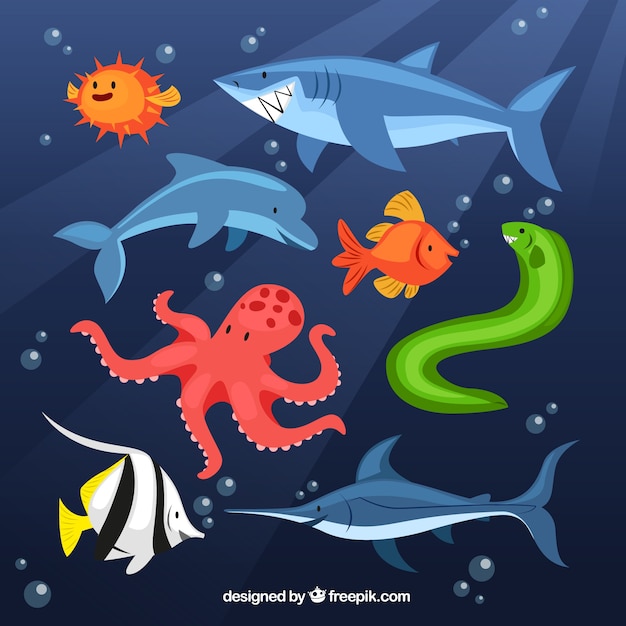 Premium Vector | Sea animals