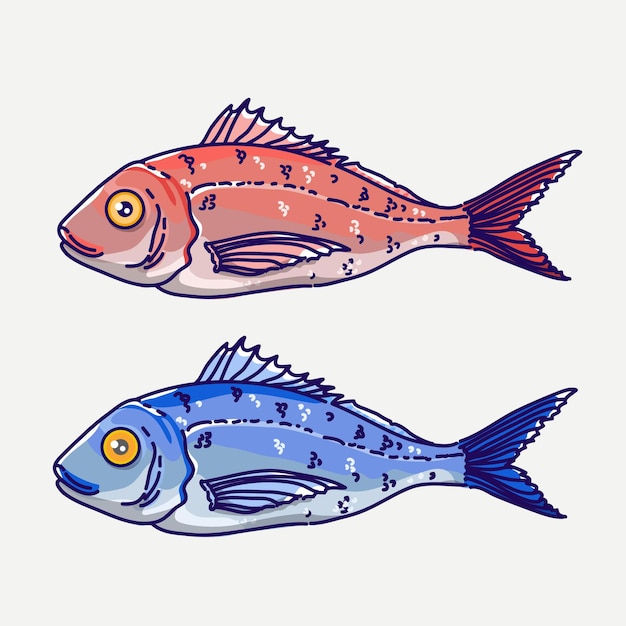 Premium Vector | Sea bass fish vector illustration