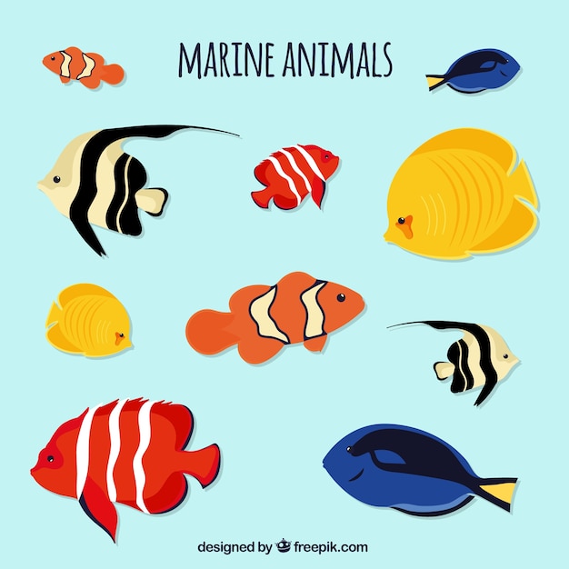 Free Free Sea Life Svg Free 356 SVG PNG EPS DXF File