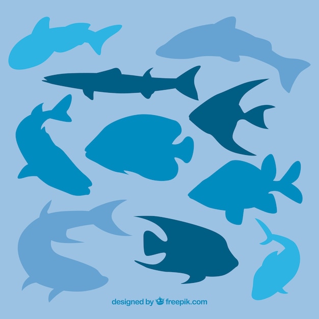 Free Free Sea Life Svg Free 493 SVG PNG EPS DXF File