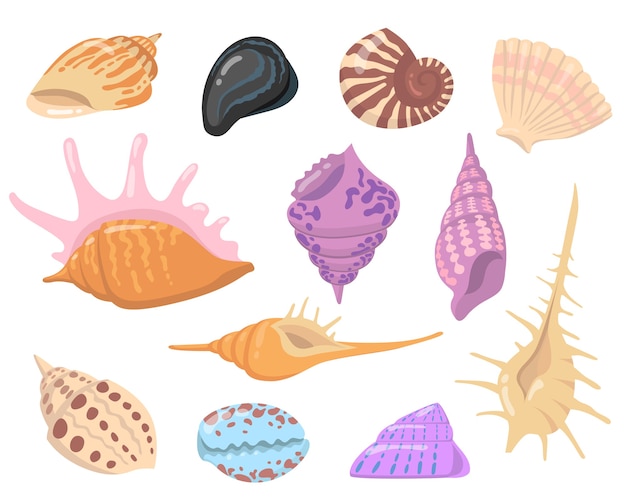 海または海のシェルオブジェクトフラットイラストセット 漫画のカラフルな貝殻は ベクトルイラストコレクションを分離しました 水の自然と装飾の概念 無料 のベクター