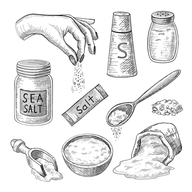  Sea salt engraved illustrations set