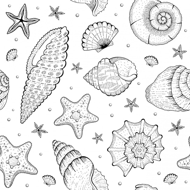 海のシェルパターン 貝殻のシームレスな背景 ヒトデ 貝殻 熱帯の貝殻のスケッチと海のビーチのイラスト プレミアムベクター