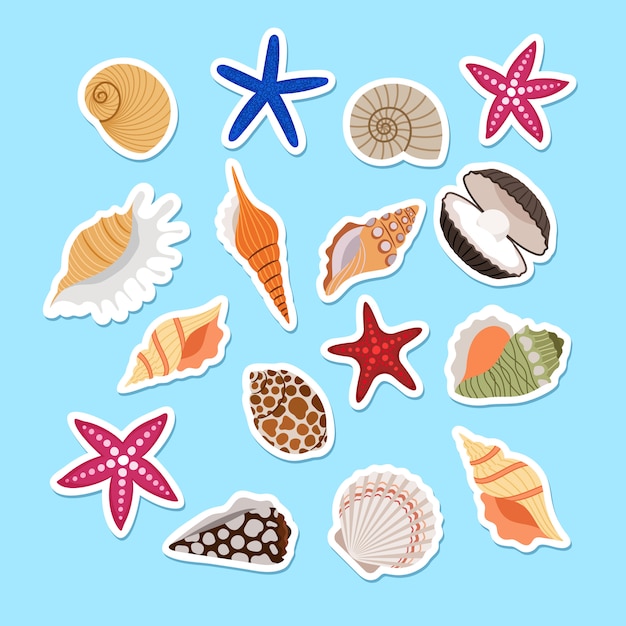 Premium Vector | Sea Shells Cute Stickers