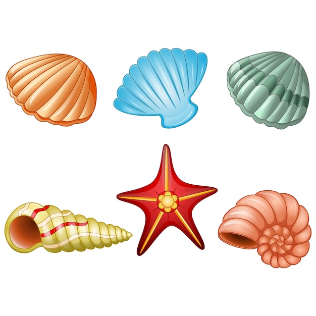 Premium Vector | Sea shells and sea star