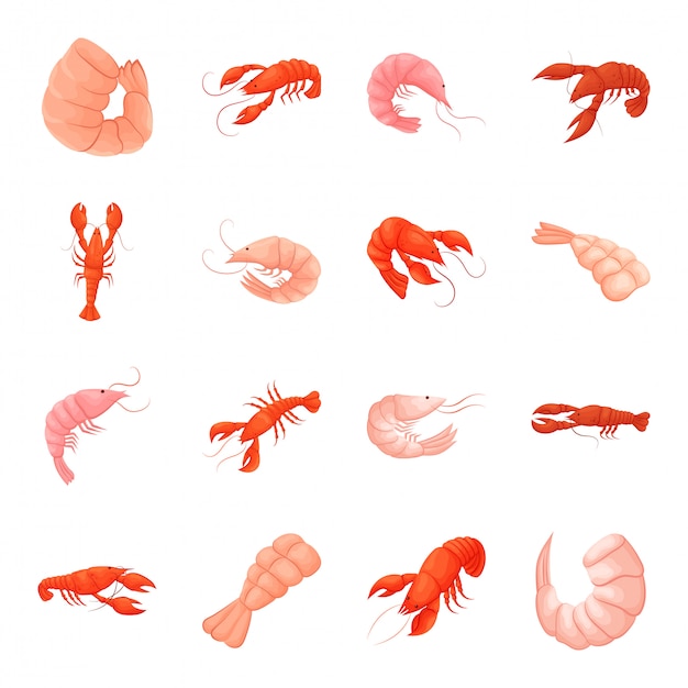 Premium Vector | Seafood cartoon icon set