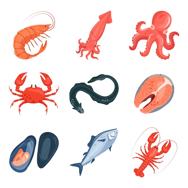 Premium Vector | Seafood cartoon set