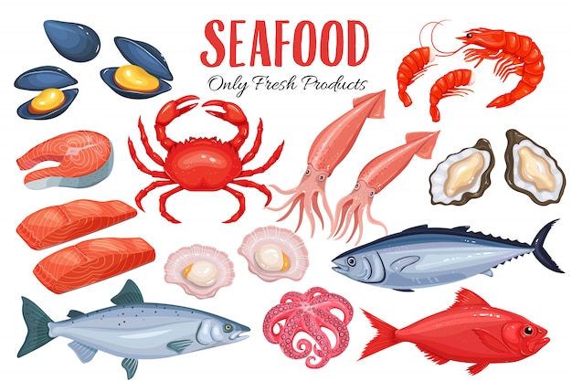 Seafood in cartoon style. | Premium Vector