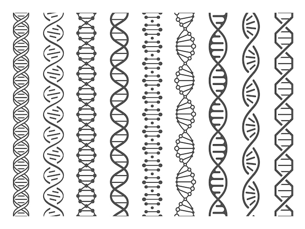 シームレスなdnaスパイラル Adnヘリックス構造 ゲノムモデルおよび人間の遺伝学コードパターンイラストセット プレミアムベクター