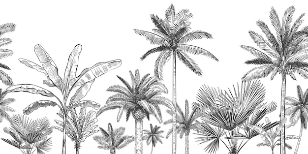シームレスな水平方向の熱帯の背景 手描きのヤシの木 エキゾチックな熱帯のジャングルの葉と楽園のヤシの木の壁紙イラストをスケッチします プレミアムベクター