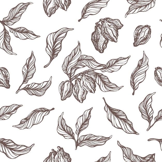 Premium Vector Seamless Pattern Of Cocoa Tree Branch With Leaf Bean Doodle Drawing Set Sketch Illustration