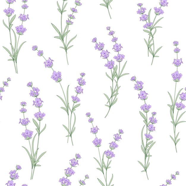 premium-vector-seamless-pattern-of-lavender-flower