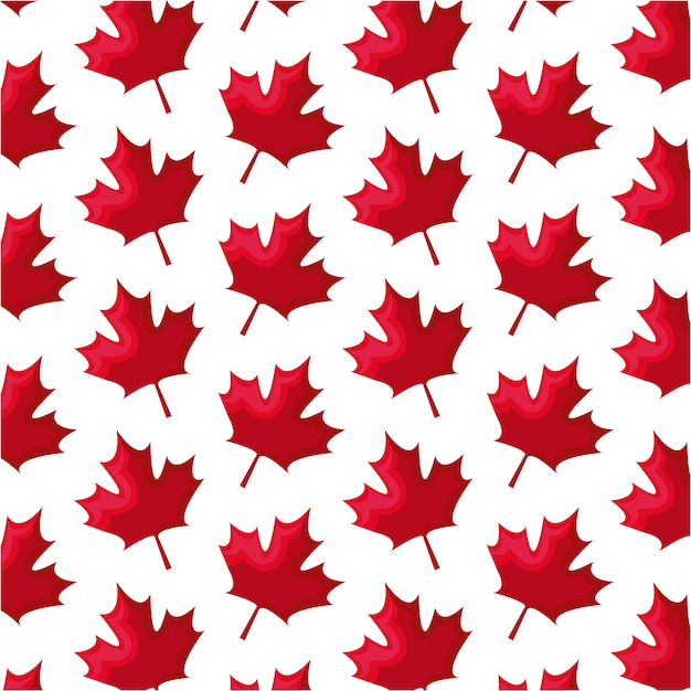 Premium Vector | Seamless pattern of leafs maple canada