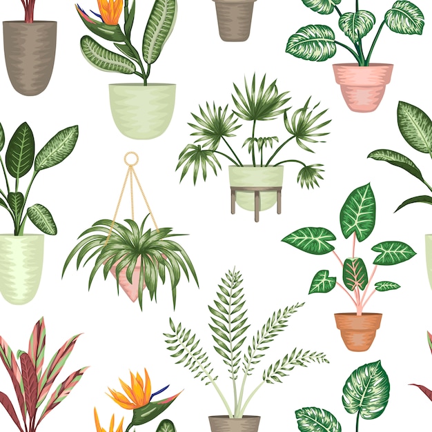 分離された鉢に熱帯の観葉植物のシームレスなパターン 明るくリアルなストレリチア モンステラ アロカシア ディフェンバキア コルディリン プレミアムベクター