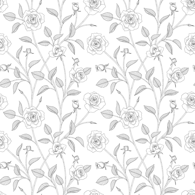 シームレスなパターンは 白い背景の上の線画と花の手描きイラストをバラ プレミアムベクター
