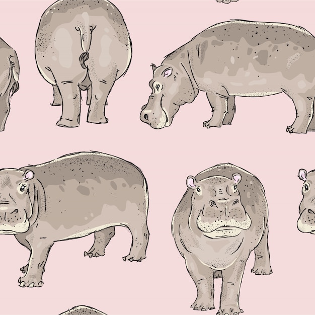 Premium Vector Seamless Pattern With Hand Drawn Hippopotamus