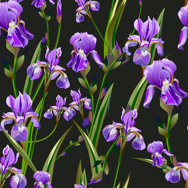 Seamless pattern with iris flowers Premium Vector