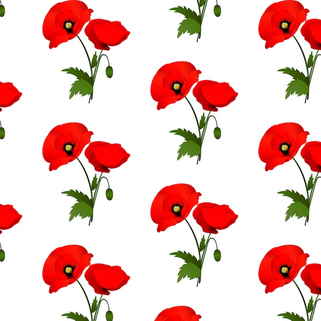 Seamless pattern with poppies flowers