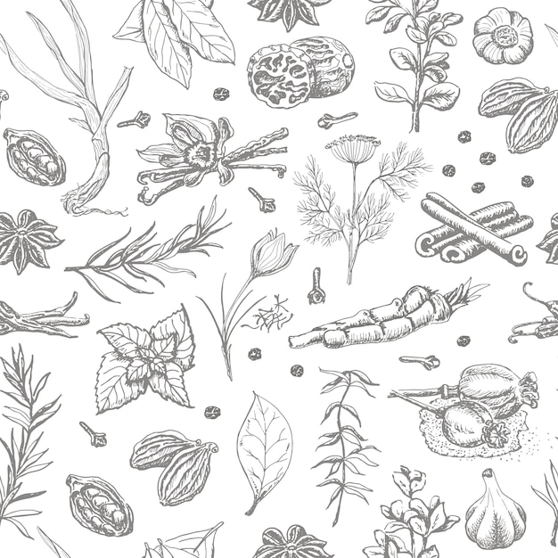 Premium Vector Seamless Pattern With Spices And Herbs On A White