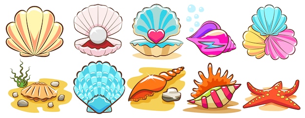 Premium Vector | Seashell vector set clipart