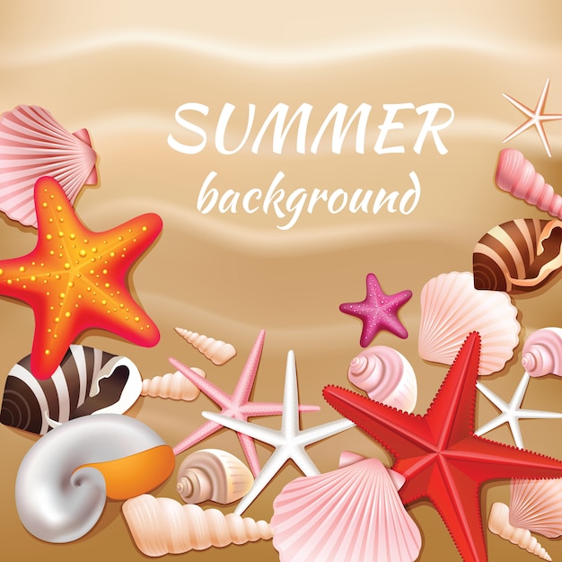 貝殻とベージュの砂の夏の背景のベクトル図の星 無料のベクター