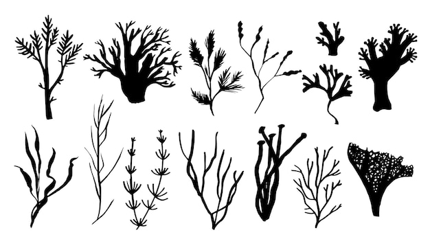 海藻サンゴと藻類のセット異なるシルエットの水中動物黒手描きイラスト プレミアムベクター