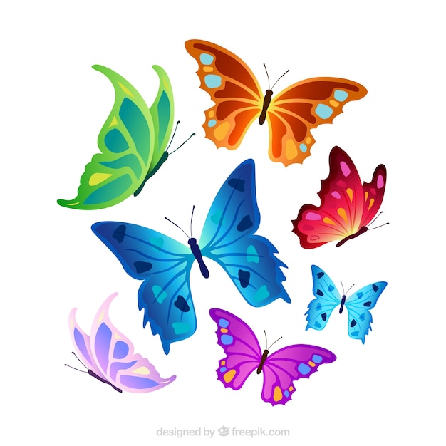 Selection of colorful butterflies