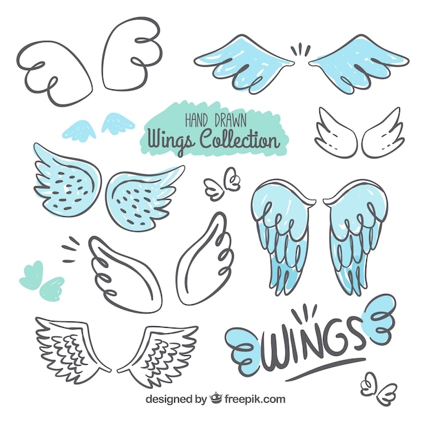 Selection of decorative wings with blue details Free Vector