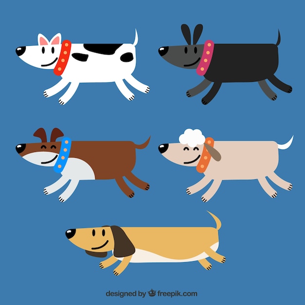 Selection of five geometric dogs in flat\
design