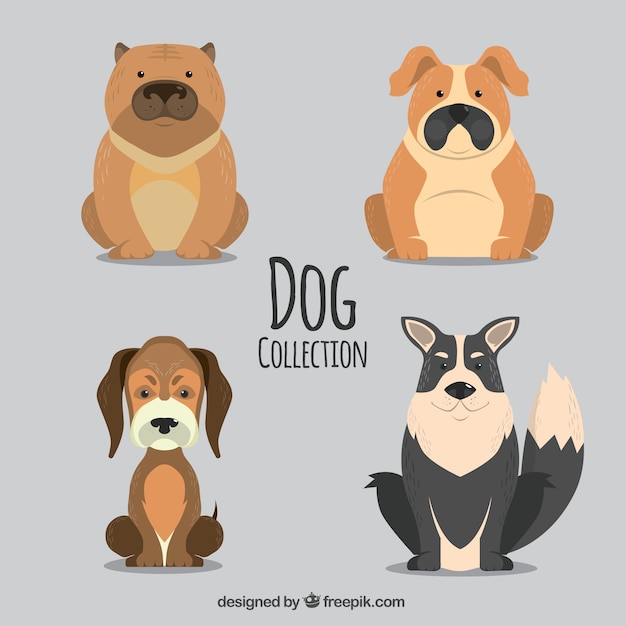 Selection of four dogs in vintage style