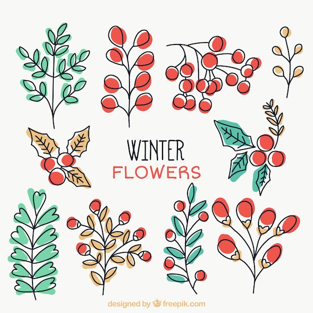 free clip art winter flowers - photo #15