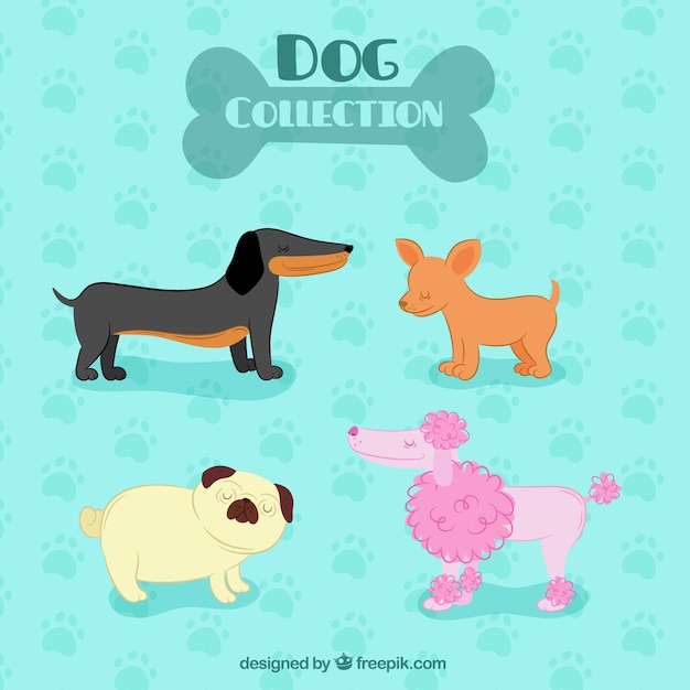Selection of profile dogs in flat design