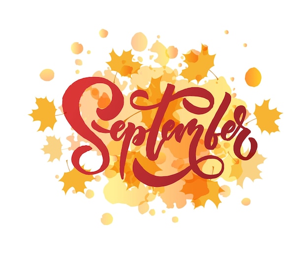 Premium Vector September lettering typography modern september