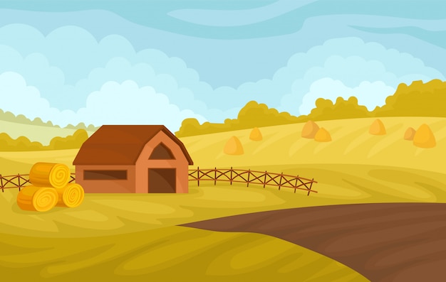 納屋と黄色のフィールド 農業 白い背景のイラストを農業と穏やかな秋の田園風景 プレミアムベクター