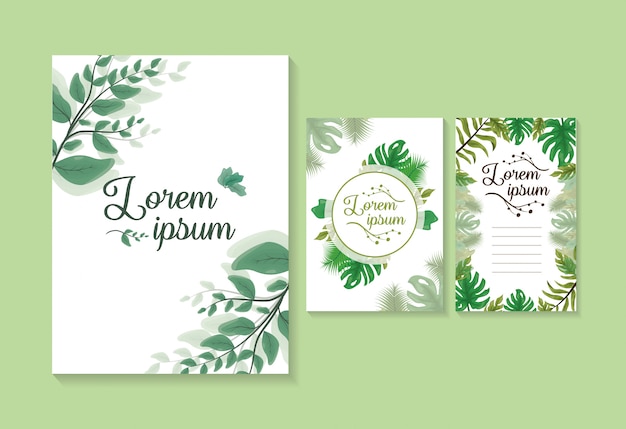 Set of 3 green leaves cards or invitations, template to customize with space to add text Free Vector