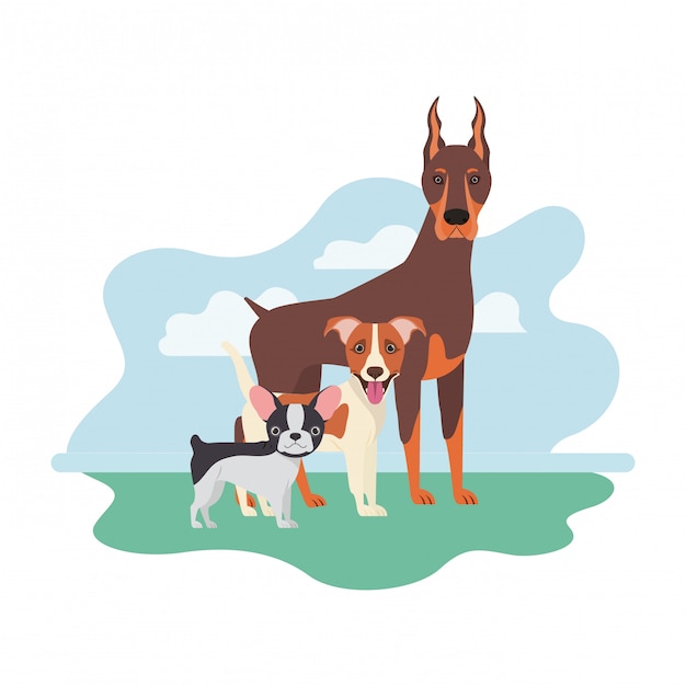 Premium Vector | Set of adorable dogs on white