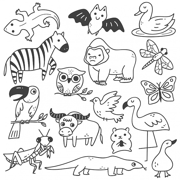 animal doodling
