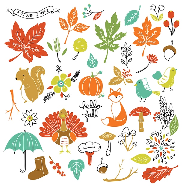 Premium Vector Set Of Autumn Doodle Element